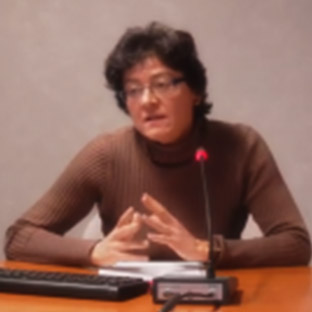 Ana Martínez Pereira